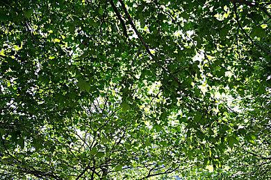 Xbox多平台游戏或在任天堂合作直面会上公布